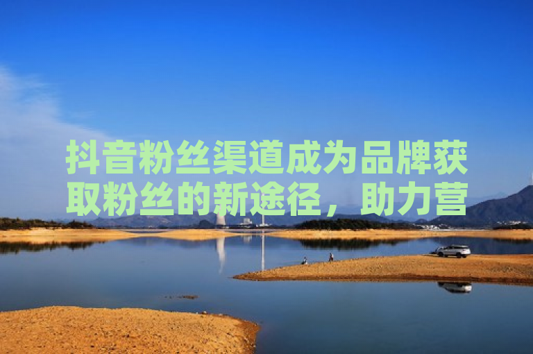 抖音粉丝渠道成为品牌获取粉丝的新途径，助力营销效果显著提升。