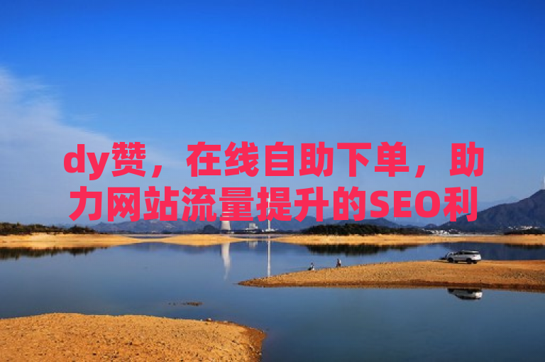 dy赞，在线自助下单，助力网站流量提升的SEO利器