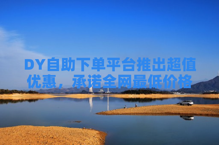 DY自助下单平台推出超值优惠，承诺全网最低价格。
