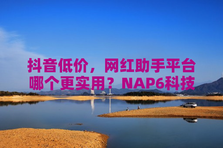 抖音低价，网红助手平台哪个更实用？NAP6科技网提供下载，打造24小时在线商城。