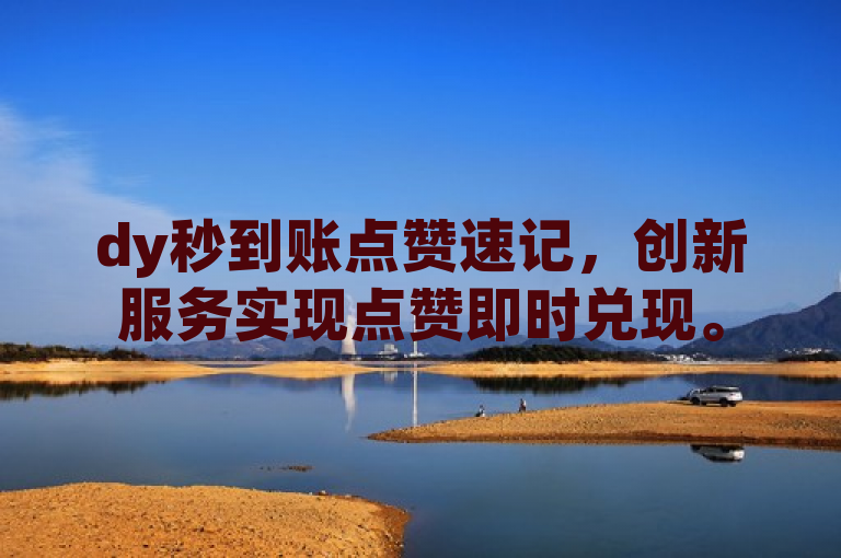 dy秒到账点赞速记，创新服务实现点赞即时兑现。