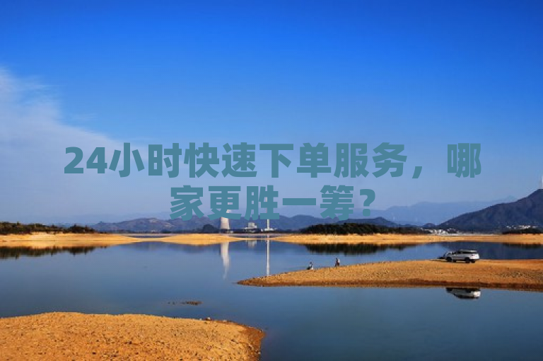 24小时快速下单服务，哪家更胜一筹？