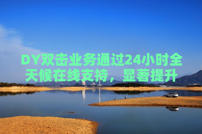 DY双击业务通过24小时全天候在线支持，显著提升了企业的运营效率和市场竞争力。