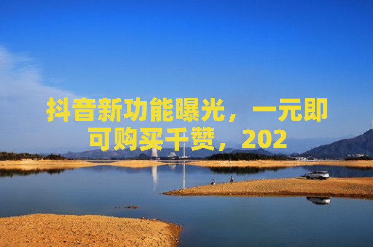抖音新功能曝光，一元即可购买千赞，2025年必学技巧！
