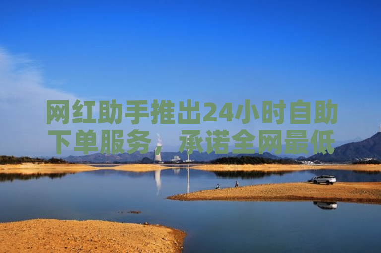 网红助手推出24小时自助下单服务，承诺全网最低价。