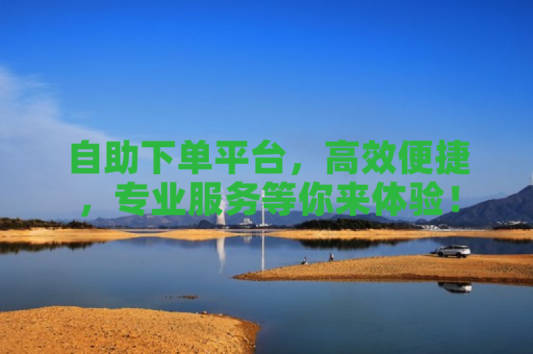 自助下单平台，高效便捷，专业服务等你来体验！