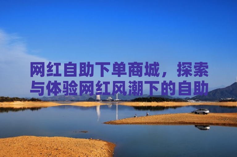 网红自助下单商城，探索与体验网红风潮下的自助购物新趋势。