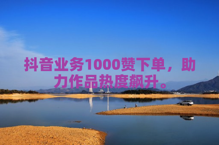 抖音业务1000赞下单，助力作品热度飙升。