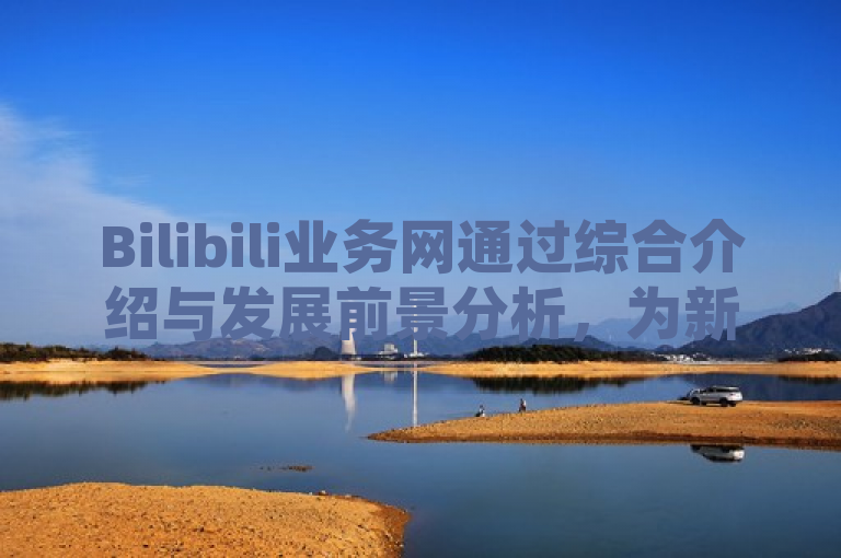 Bilibili业务网通过综合介绍与发展前景分析，为新人提供了全面了解平台的机会。