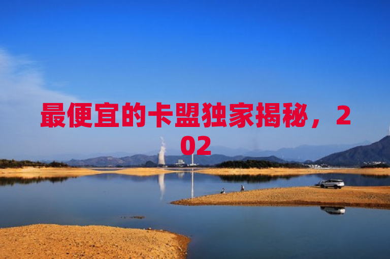 最便宜的卡盟独家揭秘，2025必学的实惠联盟合作方案！