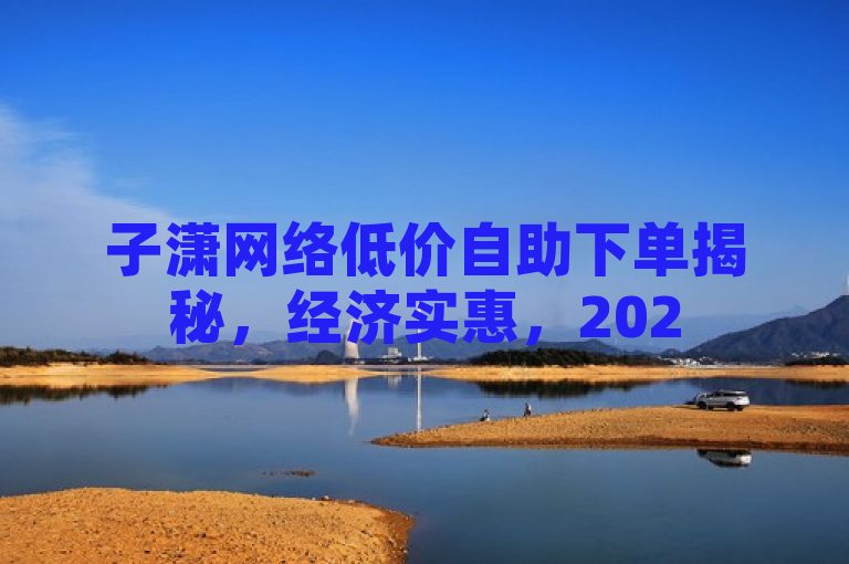 子潇网络低价自助下单揭秘，经济实惠，2025必学！