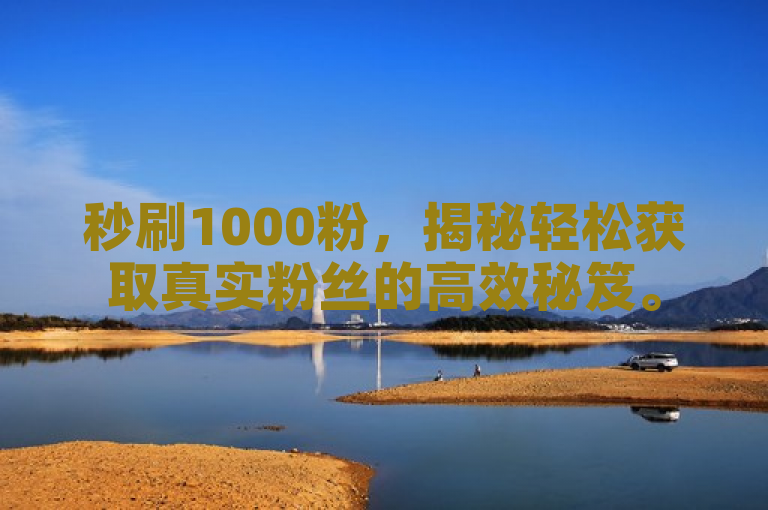 秒刷1000粉，揭秘轻松获取真实粉丝的高效秘笈。