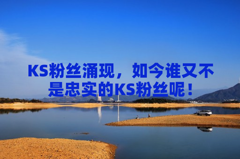 KS粉丝涌现，如今谁又不是忠实的KS粉丝呢！