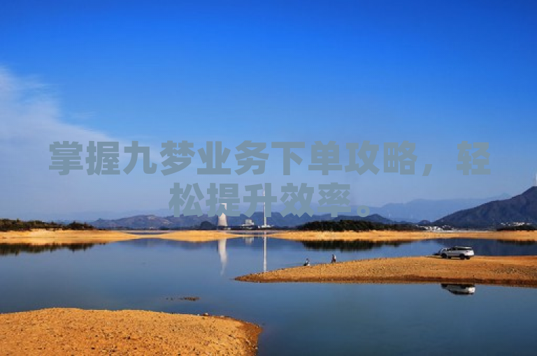 掌握九梦业务下单攻略，轻松提升效率。