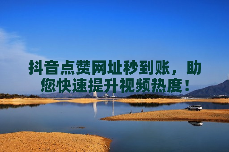 抖音点赞网址秒到账，助您快速提升视频热度！