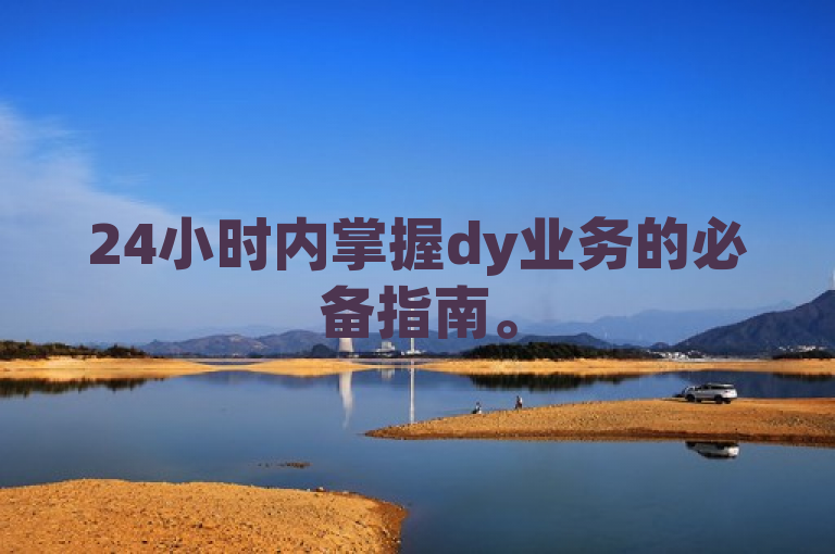 24小时内掌握dy业务的必备指南。