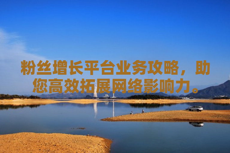 粉丝增长平台业务攻略，助您高效拓展网络影响力。