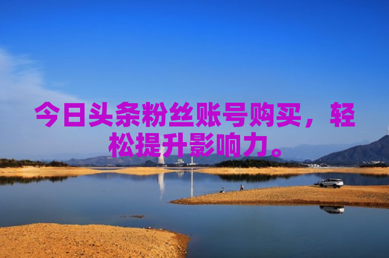 今日头条粉丝账号购买，轻松提升影响力。