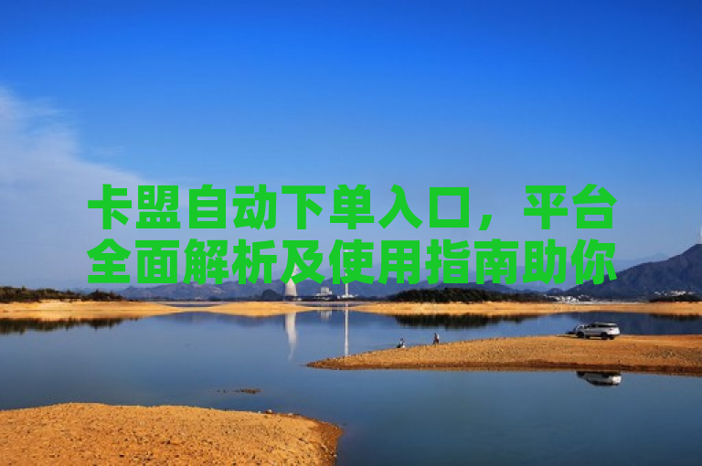 卡盟自动下单入口，平台全面解析及使用指南助你轻松上手。