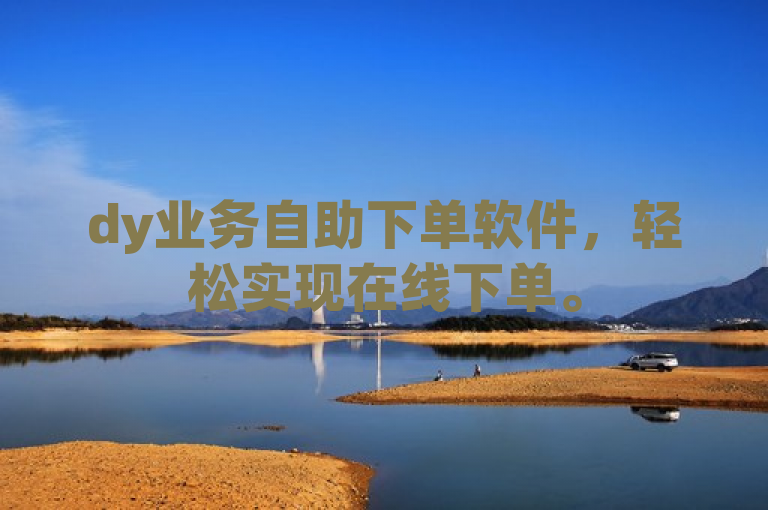 dy业务自助下单软件，轻松实现在线下单。