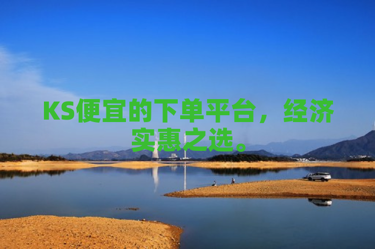 KS便宜的下单平台，经济实惠之选。