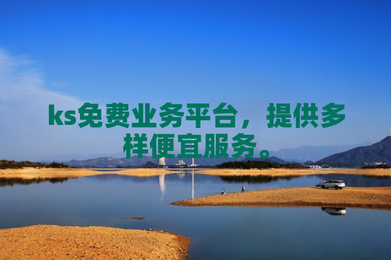 ks免费业务平台，提供多样便宜服务。