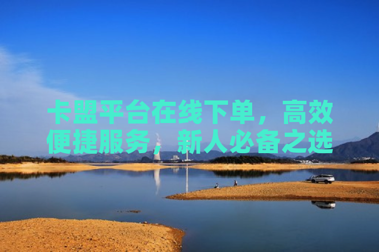 卡盟平台在线下单，高效便捷服务，新人必备之选！