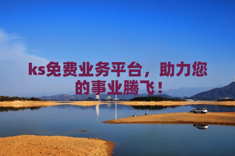 ks免费业务平台，助力您的事业腾飞！