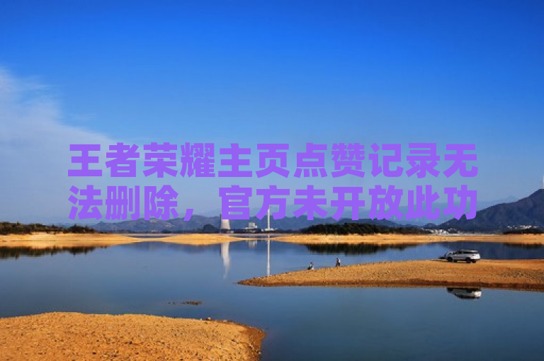 王者荣耀主页点赞记录无法删除，官方未开放此功能。