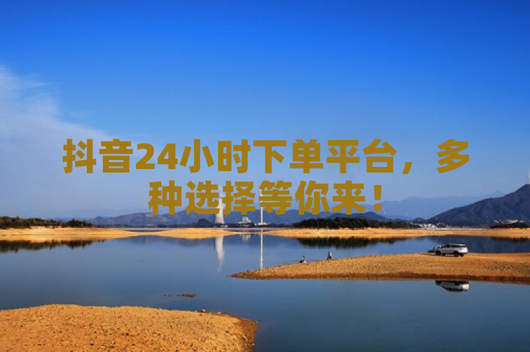 抖音24小时下单平台，多种选择等你来！