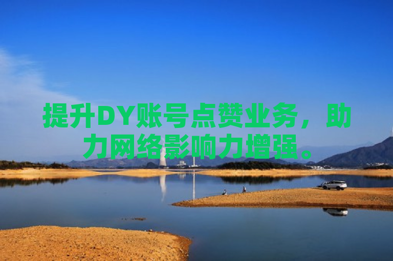 提升DY账号点赞业务，助力网络影响力增强。