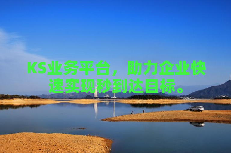 KS业务平台，助力企业快速实现秒到达目标。