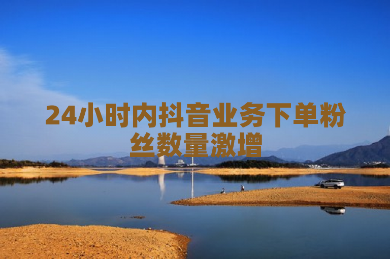 24小时内抖音业务下单粉丝数量激增