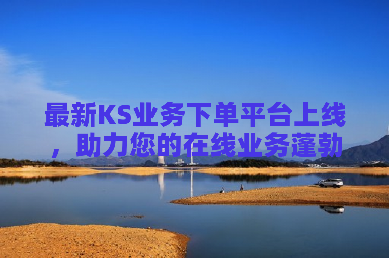 最新KS业务下单平台上线，助力您的在线业务蓬勃发展。