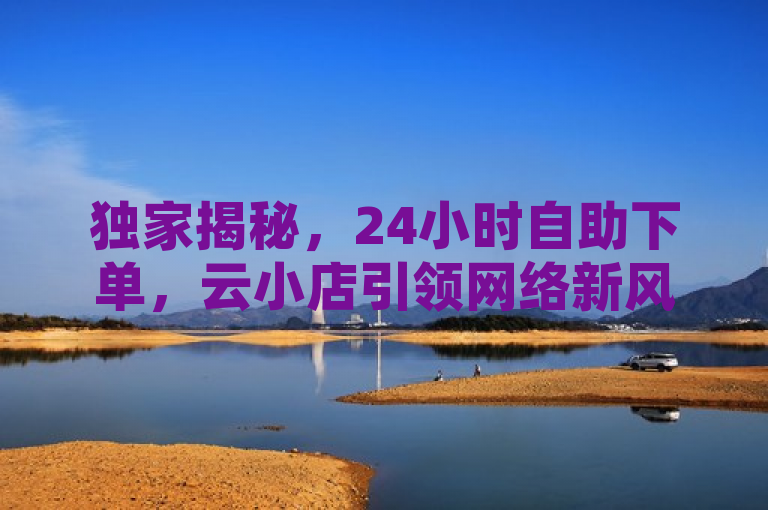 独家揭秘，24小时自助下单，云小店引领网络新风尚！