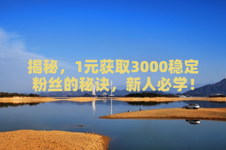 揭秘，1元获取3000稳定粉丝的秘诀，新人必学！