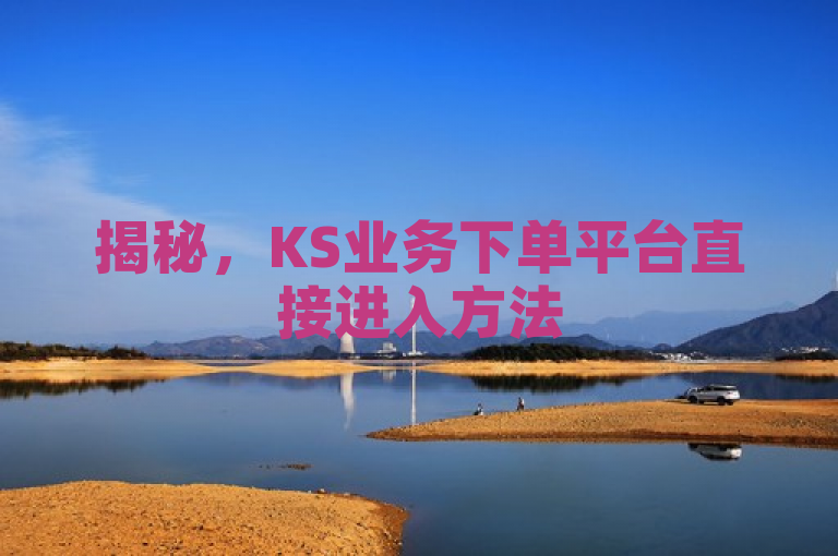揭秘，KS业务下单平台直接进入方法
