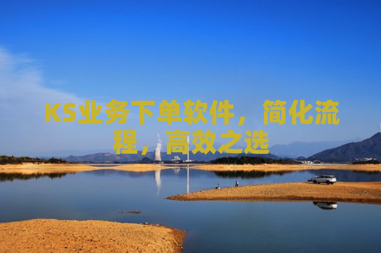 KS业务下单软件，简化流程，高效之选