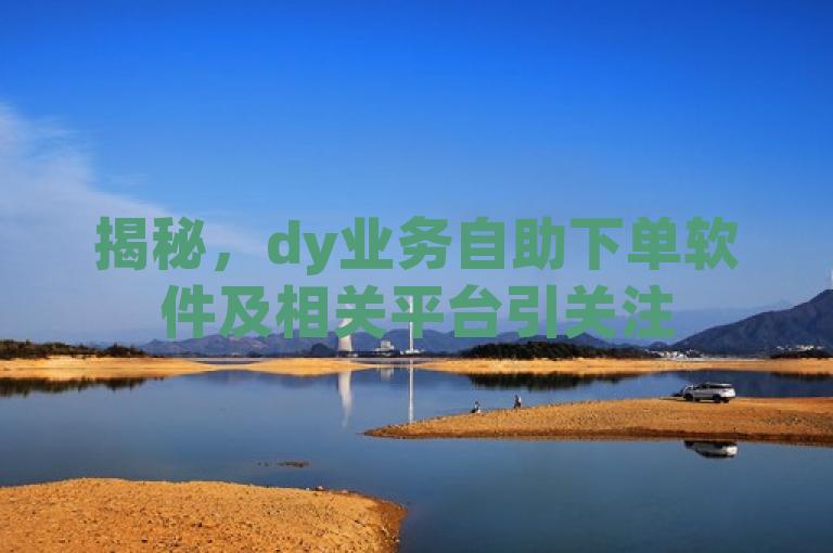 揭秘，dy业务自助下单软件及相关平台引关注