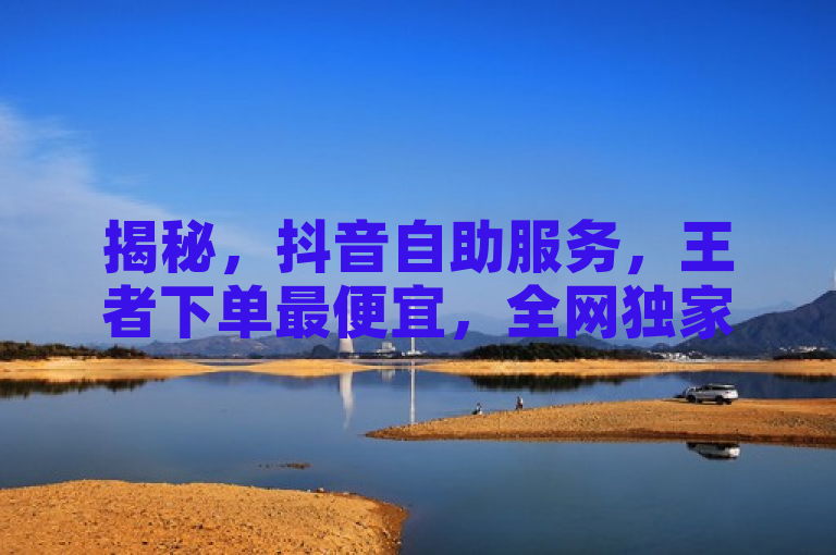 揭秘，抖音自助服务，王者下单最便宜，全网独家业务。