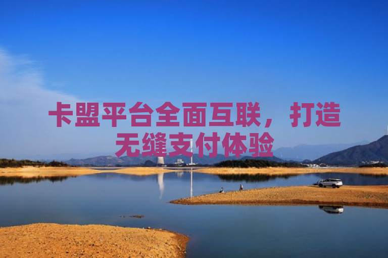 卡盟平台全面互联，打造无缝支付体验