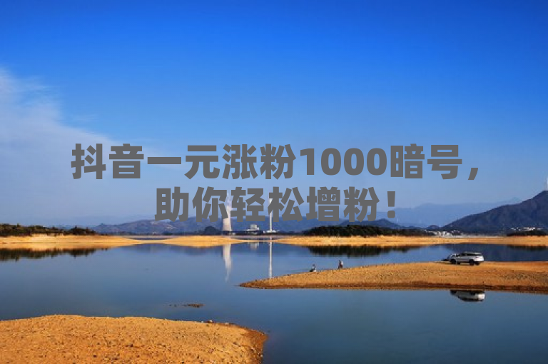 抖音一元涨粉1000暗号，助你轻松增粉！
