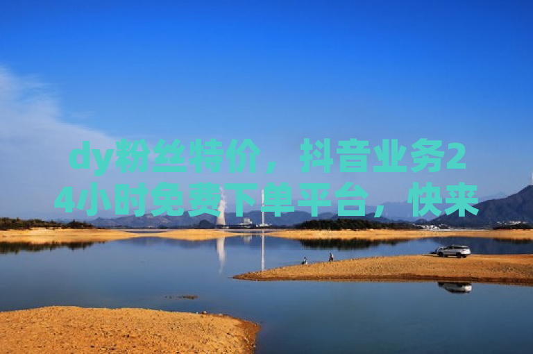 dy粉丝特价，抖音业务24小时免费下单平台，快来体验吧！