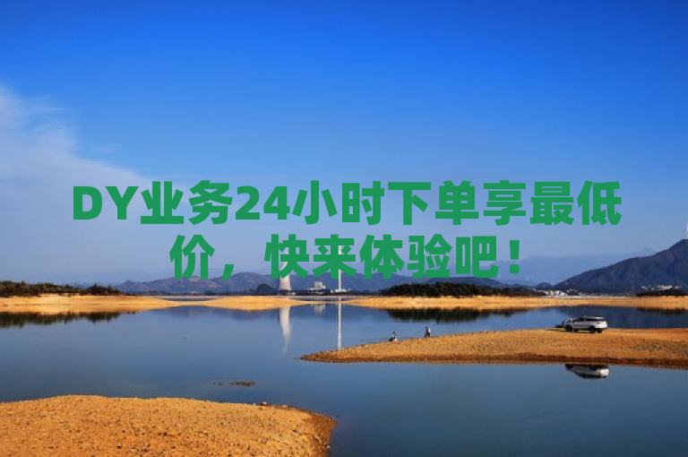 DY业务24小时下单享最低价，快来体验吧！