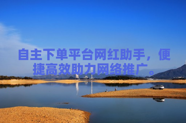 自主下单平台网红助手，便捷高效助力网络推广。