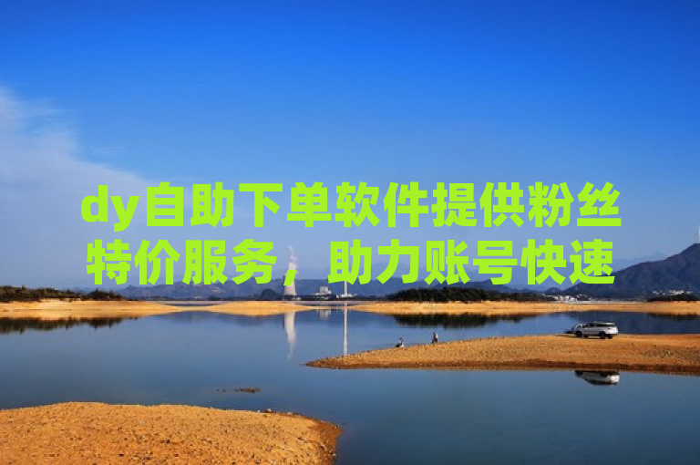 dy自助下单软件提供粉丝特价服务，助力账号快速涨粉。