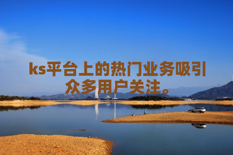 ks平台上的热门业务吸引众多用户关注。