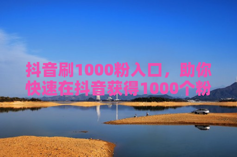 抖音刷1000粉入口，助你快速在抖音获得1000个粉丝。