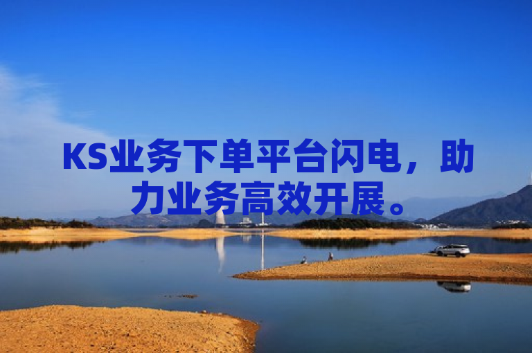 KS业务下单平台闪电，助力业务高效开展。
