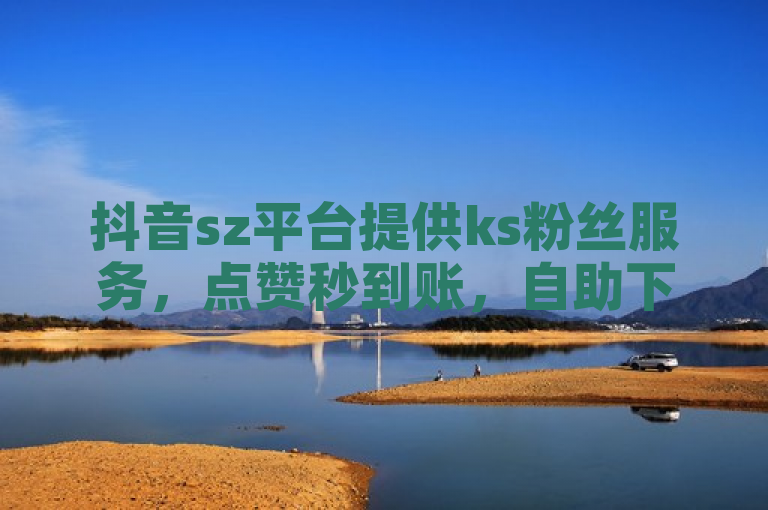 抖音sz平台提供ks粉丝服务，点赞秒到账，自助下单享最低价。
